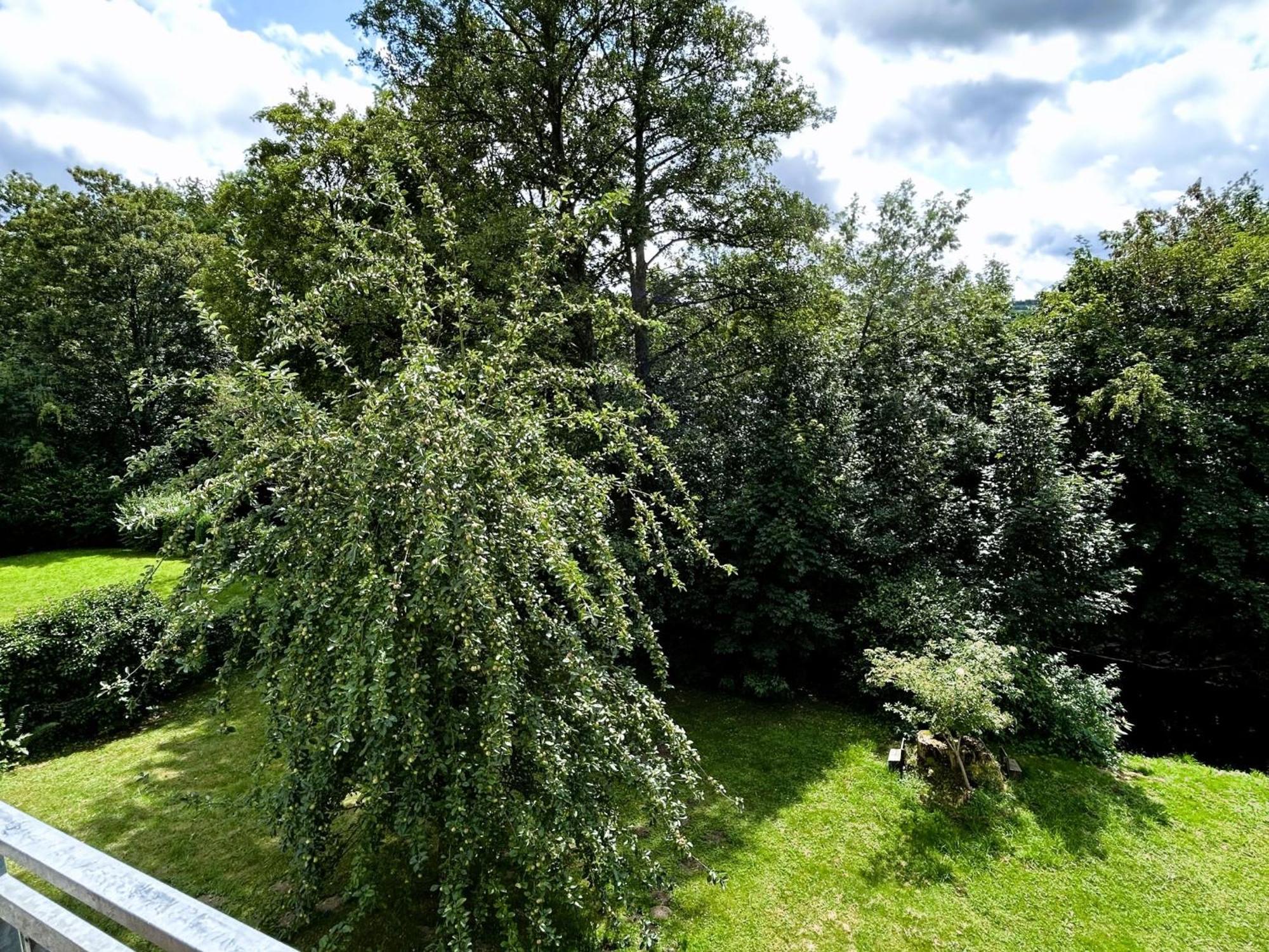 Ferienwohnung Sauerland An Der Ruhr Олсберг Екстериор снимка