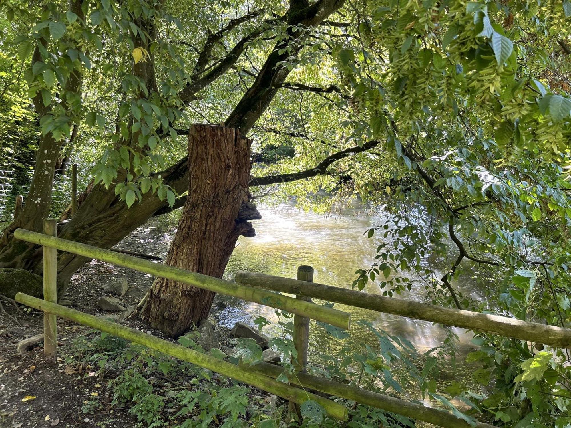 Ferienwohnung Sauerland An Der Ruhr Олсберг Екстериор снимка